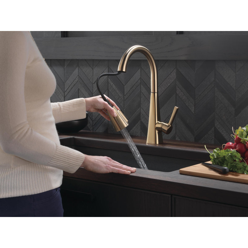 Delta Lenta Pull Down Sprayer Kitchen Sink Faucet, Single Handle